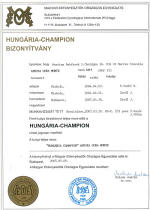 Šampión Maďarska