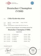 Šampion Nemecka - VDH