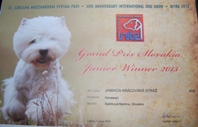 Junior winner Grand Prix Slovakia 2013