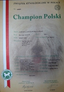 Šampión Poľska